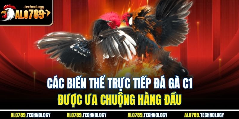 Các biến thể trực tiếp đá gà C1 được ưa chuộng hàng đầu