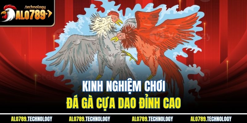 Kinh nghiệm chơi đá gà cựa dao đỉnh cao